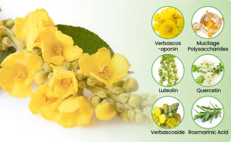 🐻‍❄️✅AU Owned and Operated：CareBreeze® Botanical Mullein Lung Cleanse Diffuser(🫁Cough, Pharyngitis, shortness of breath, sputum, stuffy nose, bronchitis, bronchitis, allergy symptoms, lung discomfort💝)