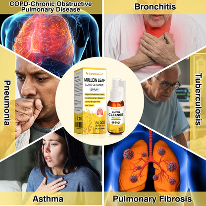 💖✅Official Store:CareBreeze® Botanical Mullein Leaf Extract Lung Cleanse Spray（💛Directly acts on COPD, asthma, chronic bronchitis (CB), respiratory infections, lung cancer, sinusitis, and other conditions💛）
