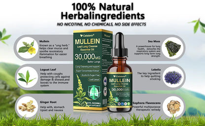 💖✅𝐀𝐔 𝐎𝐟𝐟𝐢𝐜𝐢𝐚𝐥 𝐒𝐭𝐨𝐫𝐞|𝐂𝐞𝐥𝐬𝐢𝐨𝐫𝐚® 𝐎𝐫𝐠𝐚𝐧𝐢𝐜 𝐌𝐮𝐥𝐥𝐞𝐢𝐧 𝐋𝐞𝐚𝐟 𝐋𝐮𝐧𝐠 𝐂𝐥𝐞𝐚𝐧𝐬𝐞 𝐄𝐬𝐬𝐞𝐧𝐭𝐢𝐚𝐥 𝐎𝐢𝐥 (🫁Cough, wheezing, shortness of breath, sputum, stuffy nose, bronchitis, bronchitis, allergy symptoms, lung discomfort💝)