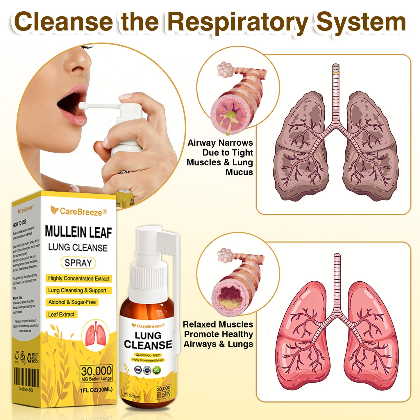 💖✅Official Store:CareBreeze® Botanical Mullein Leaf Extract Lung Cleanse Spray（💛Directly acts on COPD, asthma, chronic bronchitis (CB), respiratory infections, lung cancer, sinusitis, and other conditions💛）