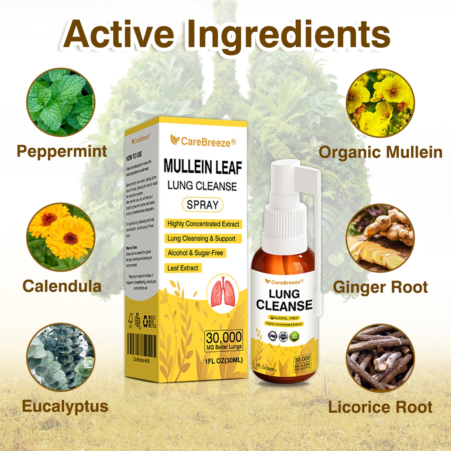 💖✅Official Store:CareBreeze® Botanical Mullein Leaf Extract Lung Cleanse Spray（💛Directly acts on COPD, asthma, chronic bronchitis (CB), respiratory infections, lung cancer, sinusitis, and other conditions💛）