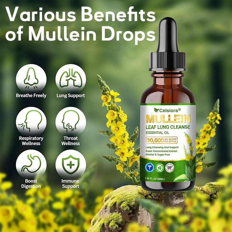 💝✅𝐀𝐔 𝐎𝐟𝐟𝐢𝐜𝐢𝐚𝐥 𝐒𝐭𝐨𝐫𝐞|𝐂𝐞𝐥𝐬𝐢𝐨𝐫𝐚® 𝐎𝐫𝐠𝐚𝐧𝐢𝐜 𝐌𝐮𝐥𝐥𝐞𝐢𝐧 𝐋𝐞𝐚𝐟 𝐋𝐮𝐧𝐠 𝐂𝐥𝐞𝐚𝐧𝐬𝐞 𝐄𝐬𝐬𝐞𝐧𝐭𝐢𝐚𝐥 𝐎𝐢𝐥 (💖Cough, wheezing, shortness of breath, sputum, stuffy nose, bronchitis, bronchitis, allergy symptoms, lung discomfort💝)