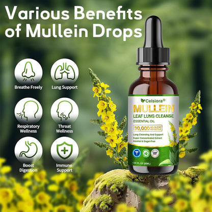 💝✅𝐀𝐔 𝐎𝐟𝐟𝐢𝐜𝐢𝐚𝐥 𝐒𝐭𝐨𝐫𝐞|𝐂𝐞𝐥𝐬𝐢𝐨𝐫𝐚® 𝐎𝐫𝐠𝐚𝐧𝐢𝐜 𝐌𝐮𝐥𝐥𝐞𝐢𝐧 𝐋𝐞𝐚𝐟 𝐋𝐮𝐧𝐠 𝐂𝐥𝐞𝐚𝐧𝐬𝐞 𝐄𝐬𝐬𝐞𝐧𝐭𝐢𝐚𝐥 𝐎𝐢𝐥 (💖Cough, wheezing, shortness of breath, sputum, stuffy nose, bronchitis, bronchitis, allergy symptoms, lung discomfort💝)