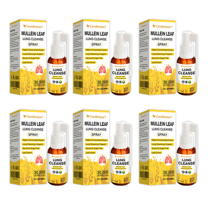 💖✅Official Store:CareBreeze® Botanical Mullein Leaf Extract Lung Cleanse Spray（💛Directly acts on COPD, asthma, chronic bronchitis (CB), respiratory infections, lung cancer, sinusitis, and other conditions💛）