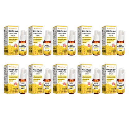 💖✅Official Store:CareBreeze® Botanical Mullein Leaf Extract Lung Cleanse Spray（💛Directly acts on COPD, asthma, chronic bronchitis (CB), respiratory infections, lung cancer, sinusitis, and other conditions💛）