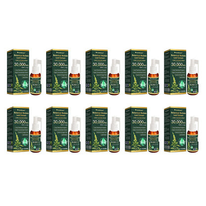 💗✅AU Official Store:CareBreeze® Botanical Mullein Leaf Extract Lung Cleanse Spray（👨‍⚕️Directly acts on COPD, asthma, chronic bronchitis (CB), respiratory infections, lung cancer, sinusitis, and other conditions）