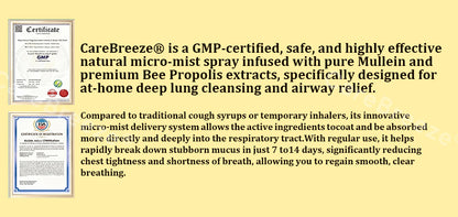 UP|🐝 Official Store:CareBreeze® 6-in-1 Herbal BeePropolis Lung Cleanse Spray