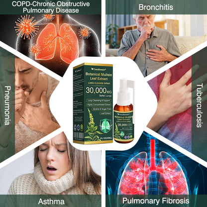 💗✅AU Official Store:CareBreeze® Botanical Mullein Leaf Extract Lung Cleanse Spray（👨‍⚕️Directly acts on COPD, asthma, chronic bronchitis (CB), respiratory infections, lung cancer, sinusitis, and other conditions）