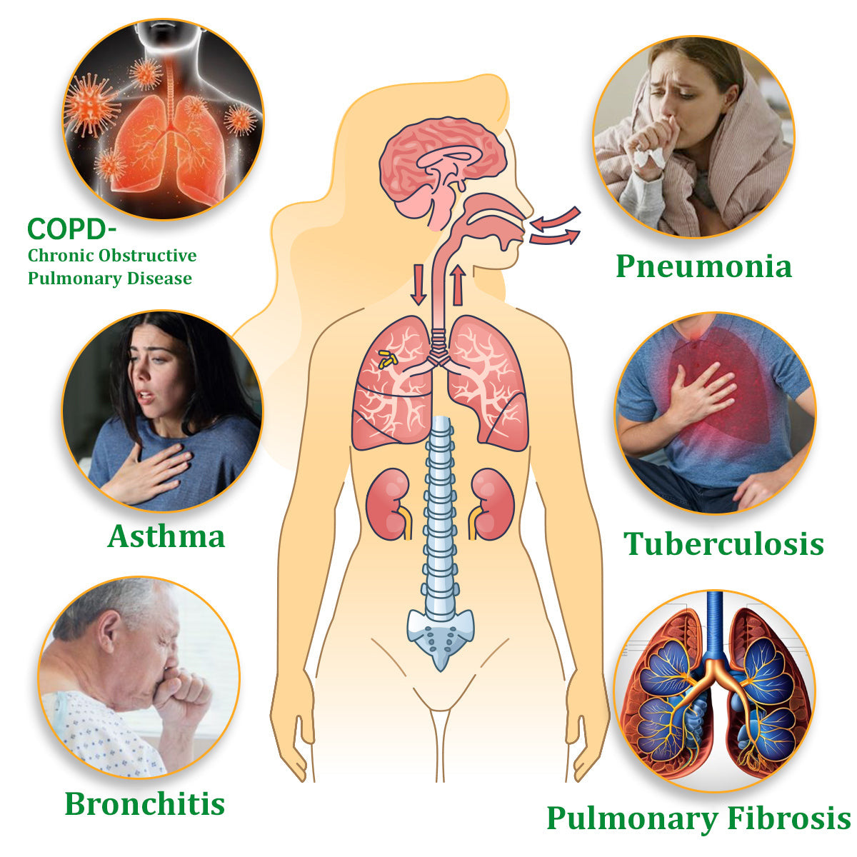 ✅🦘Official Store:Ourlyard™ Herbal Lung Cleansing Inhaler (💝 Cough, wheezing, shortness of breath, sputum, stuffy nose, bronchitis, bronchitis, allergy symptoms, lung discomfort💝)