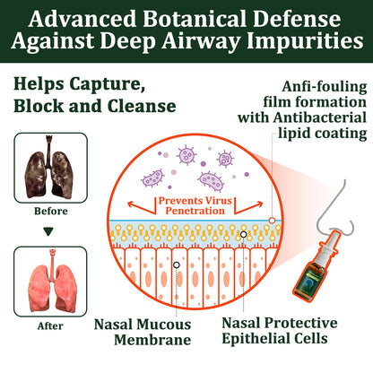 💖🐝✅AU Official Store:CareBreeze® 6-in-1 Herbal BeePropolis Lung Cleanse Spray（👨‍⚕️Directly acts on COPD, asthma, chronic bronchitis (CB), respiratory infections, lung cancer, sinusitis, and other conditions）