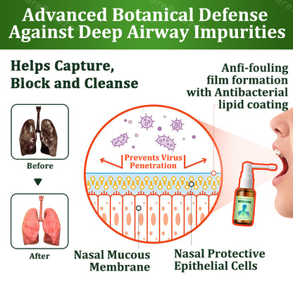 🌱🫁🇦🇺 Official Store:CareBreeze® 6-in-1 Herbal BeePropolis Lung Cleanse Spray(🫁Cough, Pharyngitis, shortness of breath, sputum, stuffy nose, bronchitis, bronchitis, allergy symptoms, lung discomfort💝)