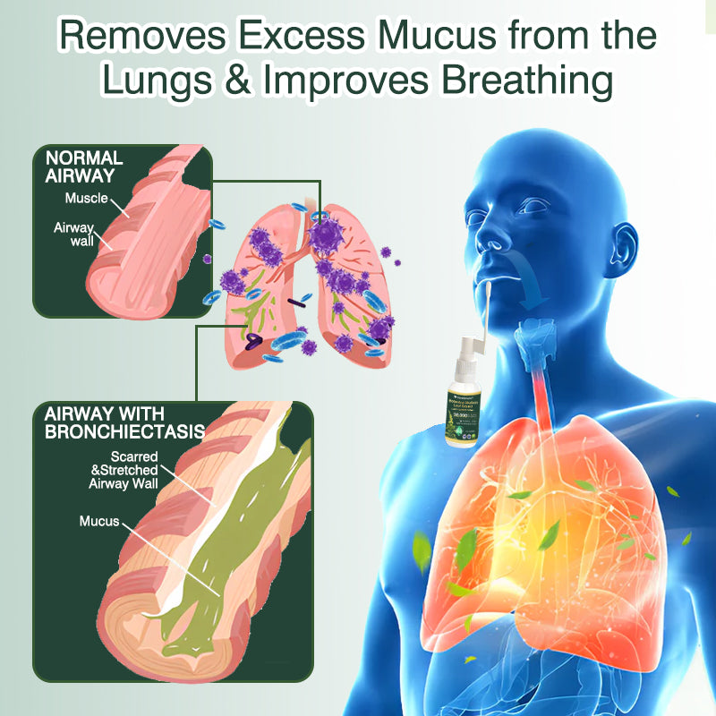 💗✅AU Official Store:CareBreeze® Botanical Mullein Leaf Extract Lung Cleanse Spray（👨‍⚕️Directly acts on COPD, asthma, chronic bronchitis (CB), respiratory infections, lung cancer, sinusitis, and other conditions）