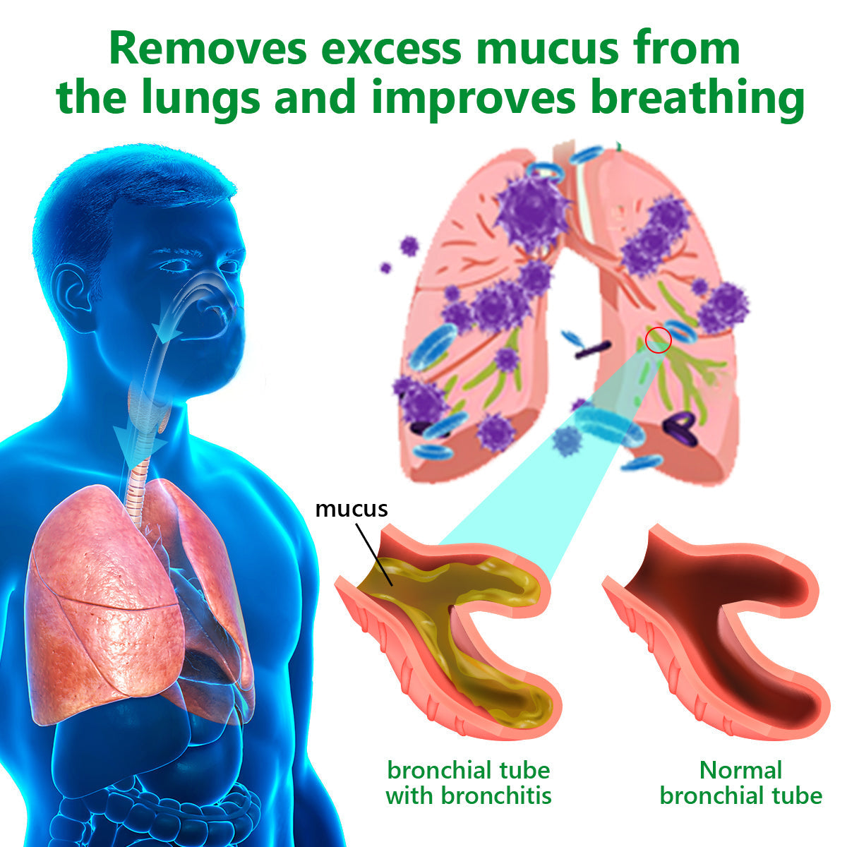 💖✅𝐀𝐔 𝐎𝐟𝐟𝐢𝐜𝐢𝐚𝐥 𝐒𝐭𝐨𝐫𝐞|𝐂𝐞𝐥𝐬𝐢𝐨𝐫𝐚® 𝐎𝐫𝐠𝐚𝐧𝐢𝐜 𝐌𝐮𝐥𝐥𝐞𝐢𝐧 𝐋𝐞𝐚𝐟 𝐋𝐮𝐧𝐠 𝐂𝐥𝐞𝐚𝐧𝐬𝐞 𝐄𝐬𝐬𝐞𝐧𝐭𝐢𝐚𝐥 𝐎𝐢𝐥 (🫁Cough, wheezing, shortness of breath, sputum, stuffy nose, bronchitis, bronchitis, allergy symptoms, lung discomfort💝)