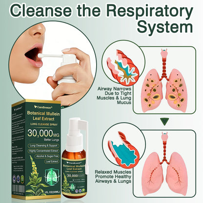 💗✅AU Official Store:CareBreeze® Botanical Mullein Leaf Extract Lung Cleanse Spray（👨‍⚕️Directly acts on COPD, asthma, chronic bronchitis (CB), respiratory infections, lung cancer, sinusitis, and other conditions）