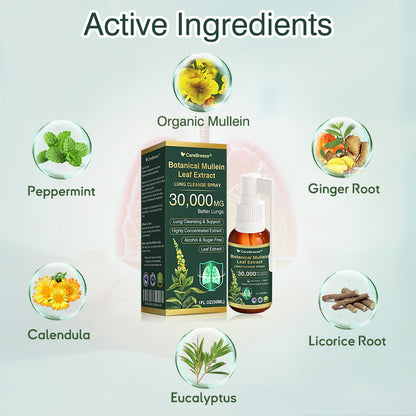 💗✅AU Official Store:CareBreeze® Botanical Mullein Leaf Extract Lung Cleanse Spray（👨‍⚕️Directly acts on COPD, asthma, chronic bronchitis (CB), respiratory infections, lung cancer, sinusitis, and other conditions）