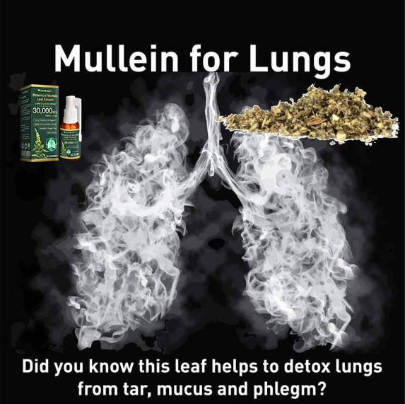 🛡️✅Official Store:CareBreeze® Botanical Mullein Leaf Extract Lung Cleanse Spray（💖Supports daily respiratory health, Helps clear congestion, Promotes easier breathing💖）